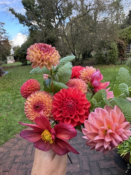 mint dahlias garden brocante.jfif